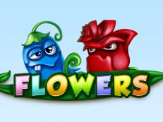 flowers slot netent